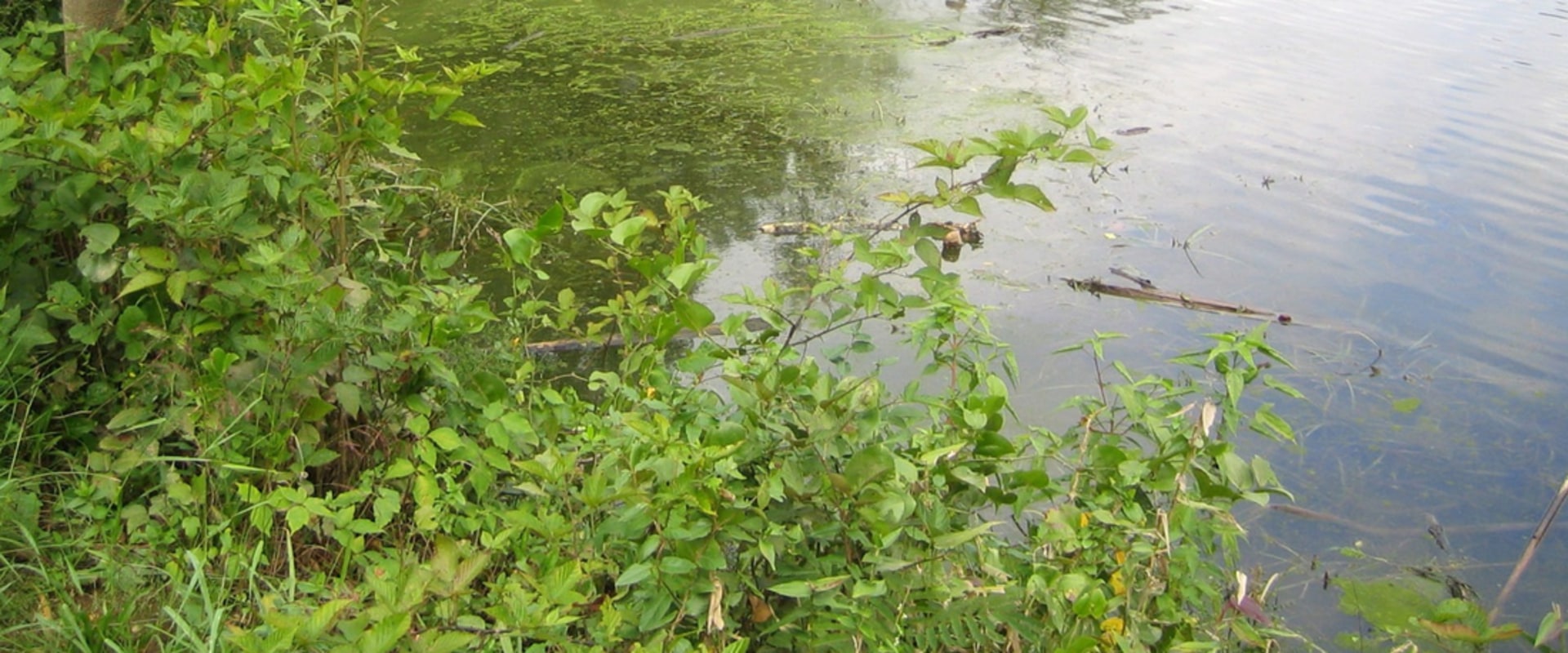 Does northern virginia have hard water?