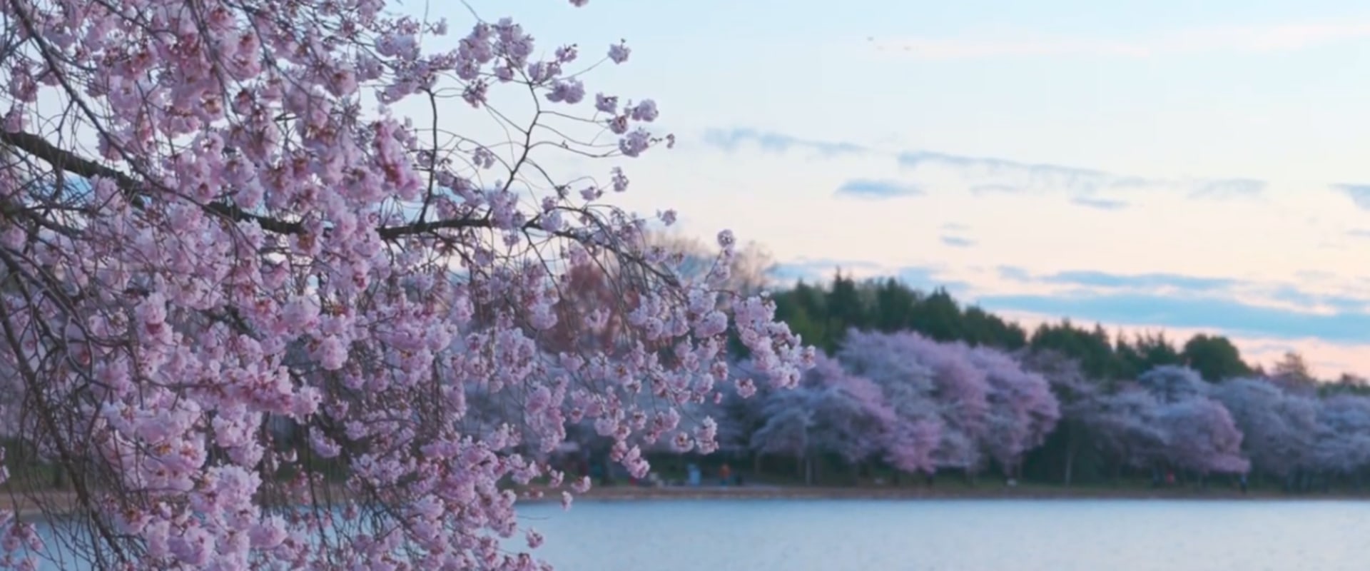 Where does northern virginia begin?