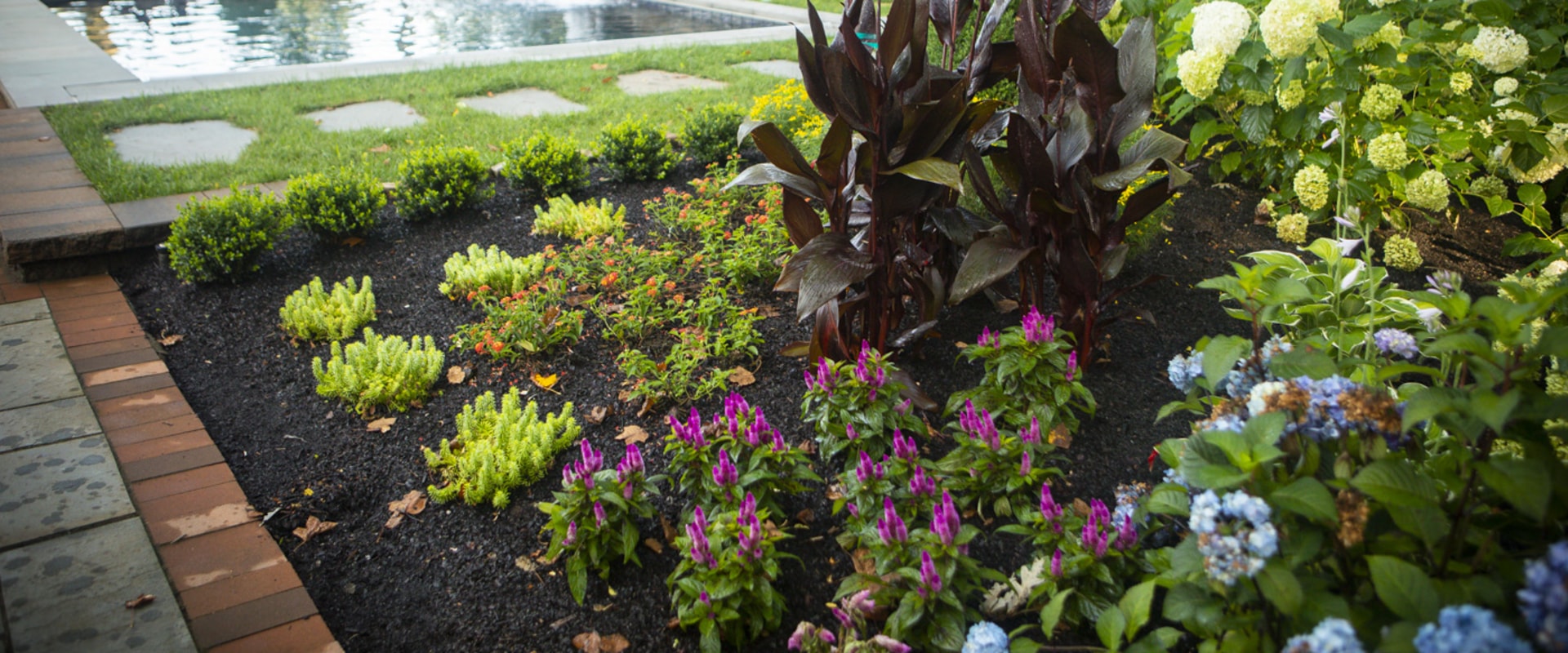 What is northern virginia planting zone?