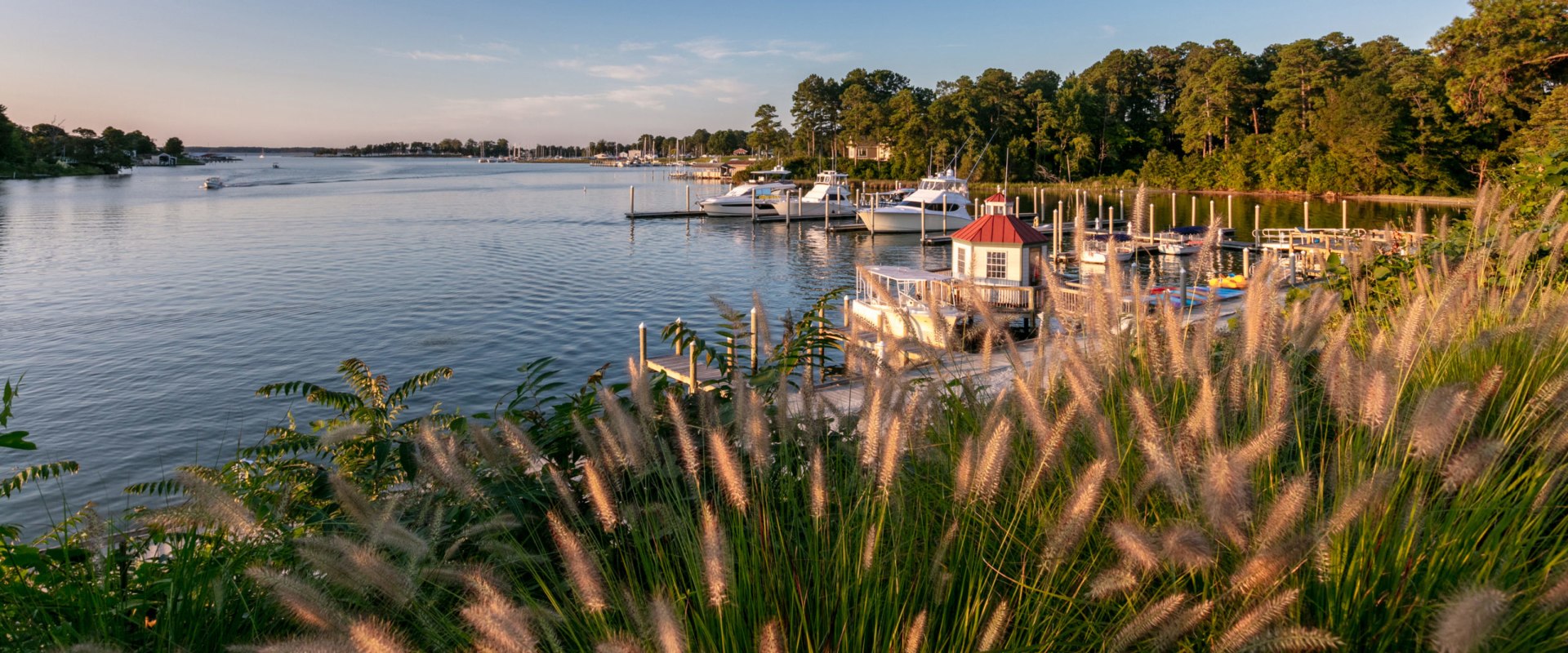 What is virginia's northern neck?