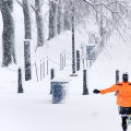 How much snow does northern va get?
