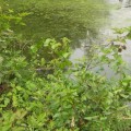 Does northern virginia have hard water?