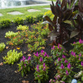 What is northern virginia planting zone?