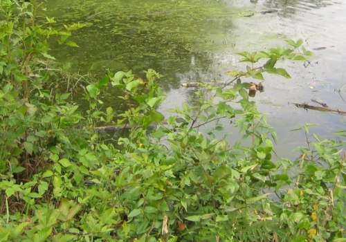 Does northern virginia have hard water?