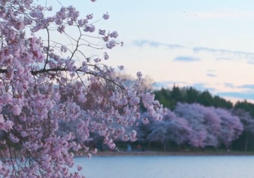 Where does northern virginia begin?