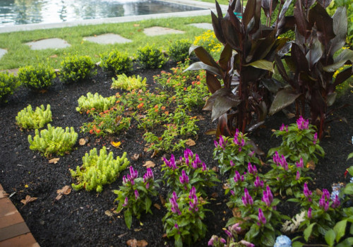 What is northern virginia planting zone?