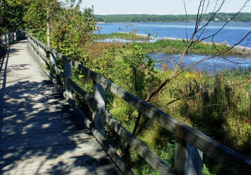 How much do you need to make to live comfortably in northern virginia?